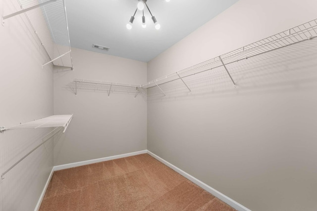 1205 Riverbirch Way, Hermitage, TN 37076 - spacious closet featuring carpet