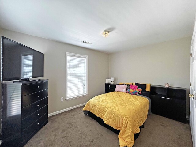 305 Wildwood Dr, Smyrna, TN 37167 - carpeted bedroom featuring multiple windows and baseboards
