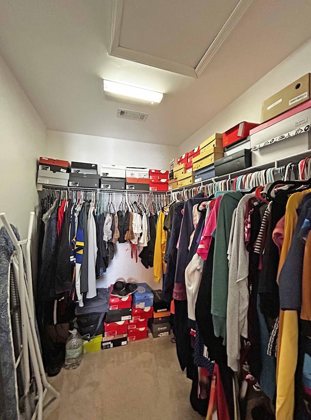 305 Wildwood Dr, Smyrna, TN 37167 - walk in closet with carpet flooring