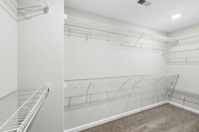 2578 Rafiki Dr, Clarksville, TN 37042 - walk in closet featuring carpet flooring