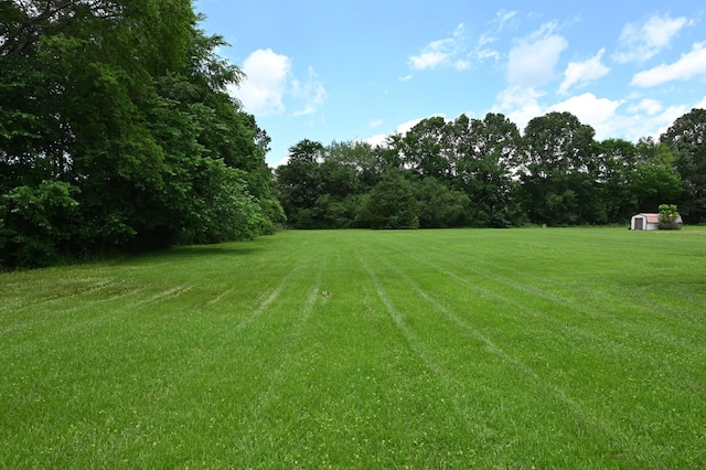 148 W Fourth Ave, Lobelville, TN 37097 - view of grassy yard