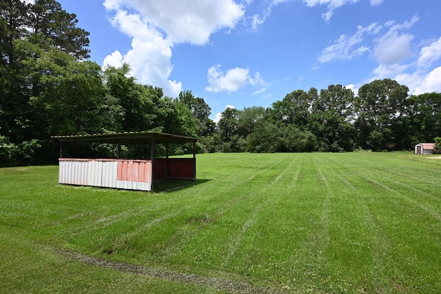 148 W Fourth Ave, Lobelville, TN 37097 - view of green lawn featuring an outbuilding