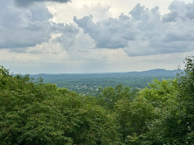 1426 Robert E Lee Ln, Brentwood, TN 37027 - photo 48