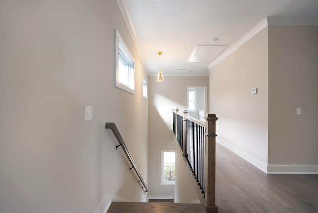 6037 Sterling St, Nashville, TN 37209 - photo 17