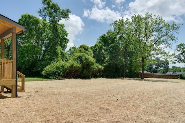 1330 Mcalpine Ave, Nashville, TN 37216 - view of yard