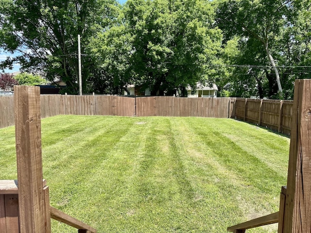 311 Grace St, Nashville, TN 37207 - view of yard