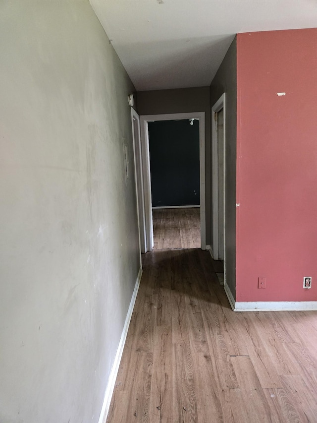 550 Harding Pl Unit E116, Nashville, TN 37211 - photo 4