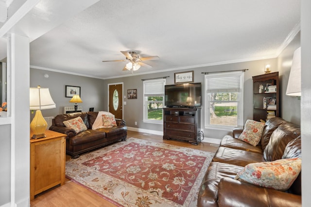 31 Hilltop Rd, Fayetteville, TN 37334 - photo 15
