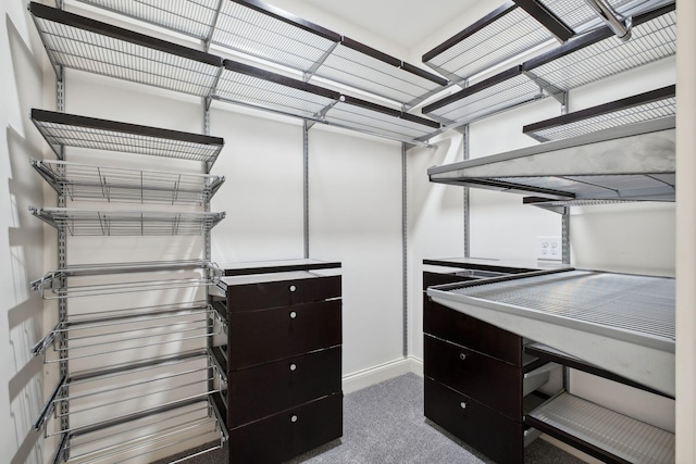 3334 Granite Springs Way, Murfreesboro, TN 37130 - walk in closet featuring carpet floors