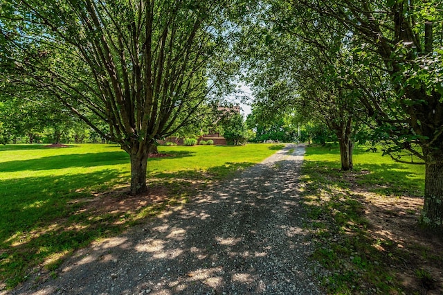 118B Moonlight Dr, Gallatin, TN 37066 - photo 4