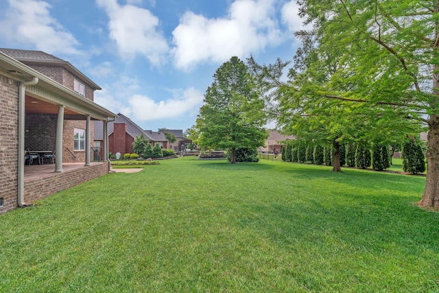 525 Amberly St, Murfreesboro, TN 37129 - view of green lawn