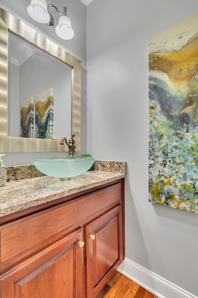 525 Amberly St, Murfreesboro, TN 37129 - bathroom featuring vanity, baseboards, and wood finished floors