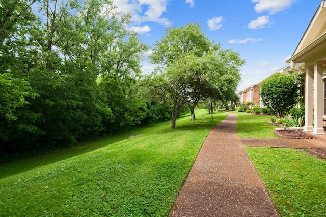 1369 General George Patton Rd, Nashville, TN 37221 - photo 4