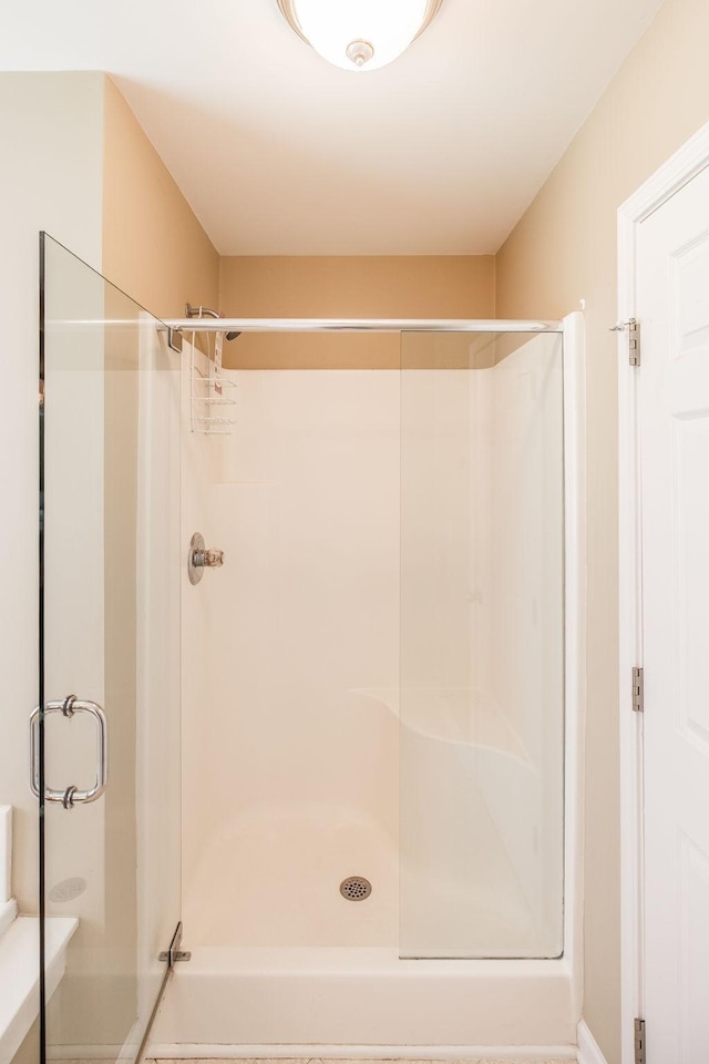 3505 Grove Park Dr, College Grove, TN 37046 - full bath with a stall shower