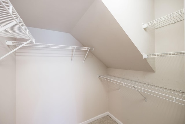 3505 Grove Park Dr, College Grove, TN 37046 - walk in closet with lofted ceiling and carpet