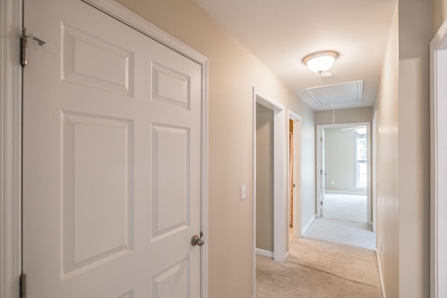 3505 Grove Park Dr, College Grove, TN 37046 - hallway featuring attic access, light carpet, and baseboards