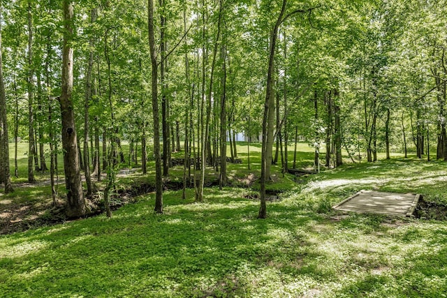 3505 Grove Park Dr, College Grove, TN 37046 - view of yard