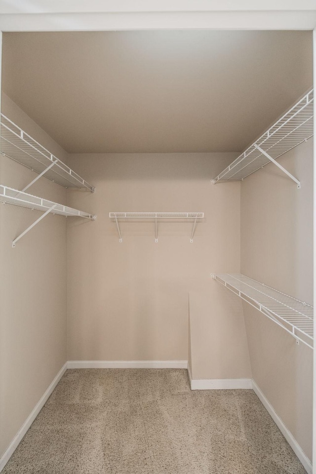 3505 Grove Park Dr, College Grove, TN 37046 - walk in closet featuring carpet