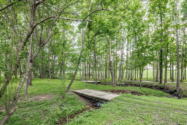 3505 Grove Park Dr, College Grove, TN 37046 - view of community with a lawn