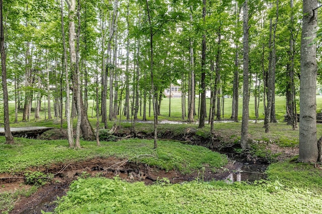 3505 Grove Park Dr, College Grove, TN 37046 - view of yard