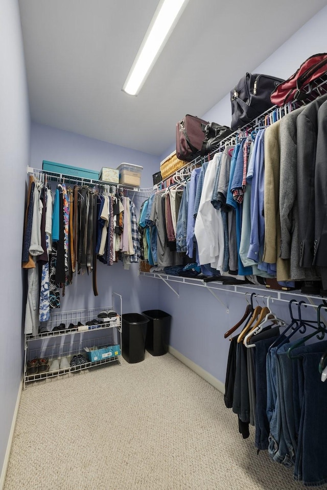 4702 Garcia Blvd, Murfreesboro, TN 37128 - spacious closet with carpet flooring