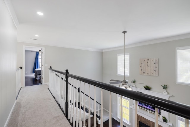 4702 Garcia Blvd, Murfreesboro, TN 37128 - corridor featuring crown molding, plenty of natural light, baseboards, recessed lighting, and carpet floors