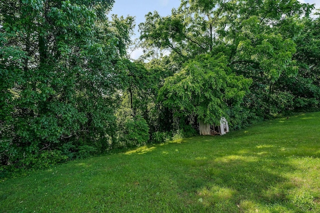 221 Oakwood St, Sparta, TN 38583 - photo 7