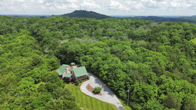 1026 Liberty Pt, Gallatin, TN 37066 - photo 49