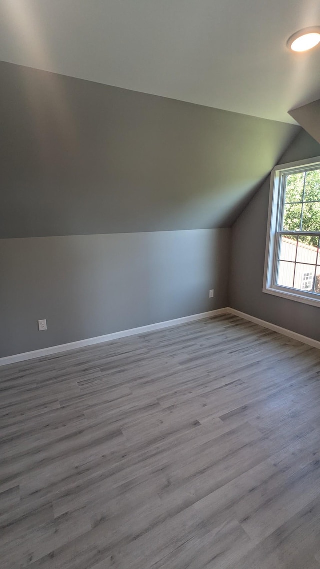 171 Ashmore Rd, Summertown, TN 38483 - additional living space with lofted ceiling, baseboards, and wood finished floors