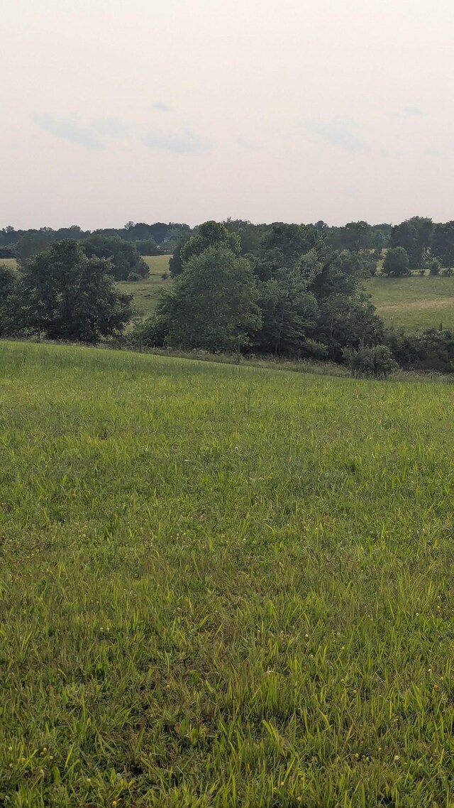 171 Ashmore Rd, Summertown, TN 38483 - view of local wilderness with rural landscape