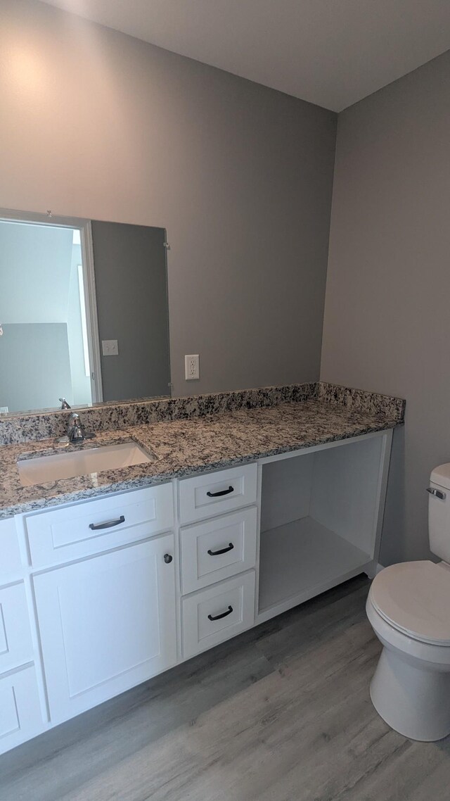 171 Ashmore Rd, Summertown, TN 38483 - bathroom with vanity, toilet, and wood finished floors