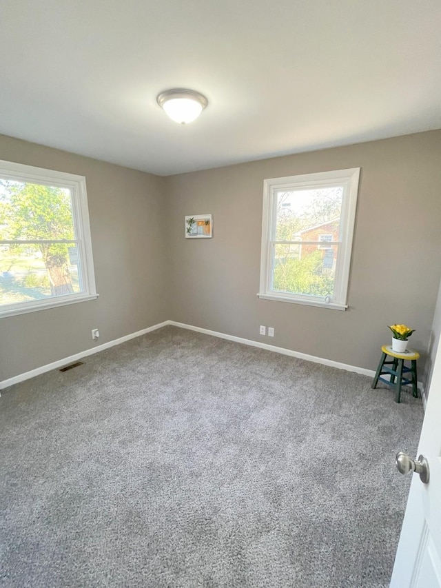 604 Mayflower St, Clarksville, TN 37042 - photo 19