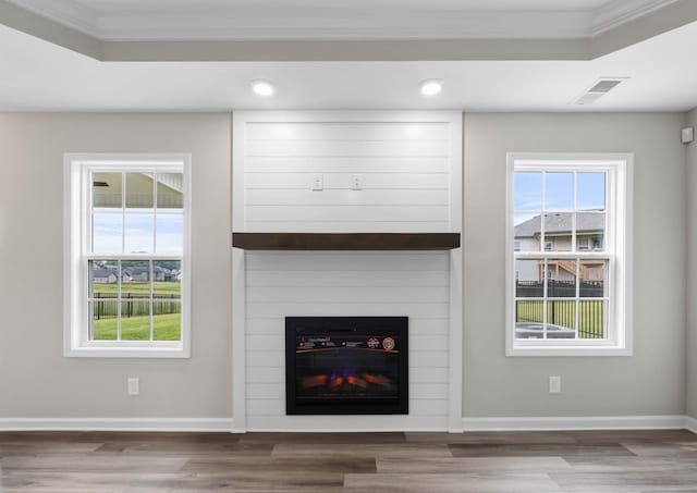 2586 Rafiki Dr, Clarksville, TN 37042 - detailed view of crown molding, wood finished floors, baseboards, recessed lighting, and a large fireplace