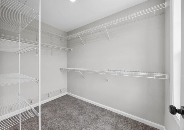 2586 Rafiki Dr, Clarksville, TN 37042 - walk in closet with carpet flooring