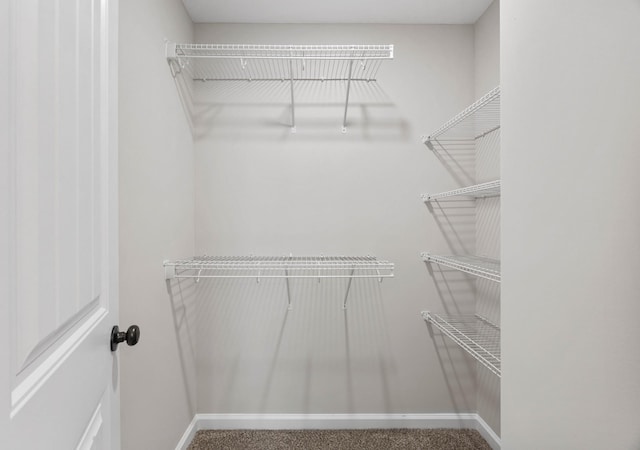 2586 Rafiki Dr, Clarksville, TN 37042 - walk in closet featuring carpet