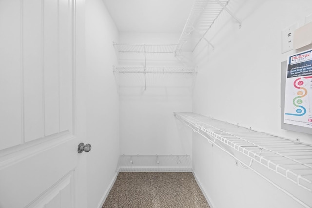 2582 Rafiki Dr, Clarksville, TN 37042 - spacious closet featuring carpet floors