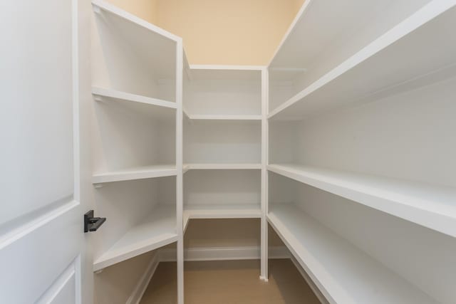 5962 Hunt Valley Dr, Spring Hill, TN 37174 - view of pantry