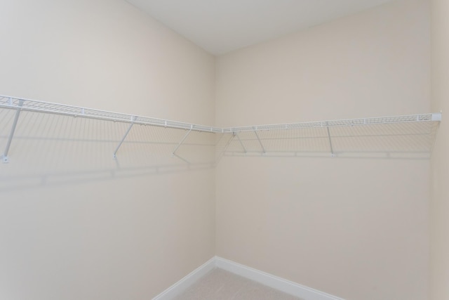 5962 Hunt Valley Dr, Spring Hill, TN 37174 - view of spacious closet