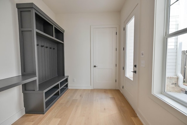 4072 Penfield Dr Unit B, Franklin, TN 37069 - mudroom with light wood-style flooring and plenty of natural light