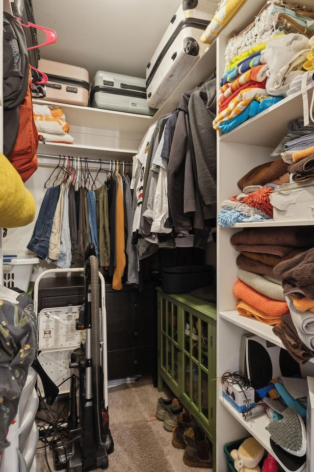 6781 Autumnwood Dr, Nashville, TN 37221 - walk in closet featuring carpet flooring