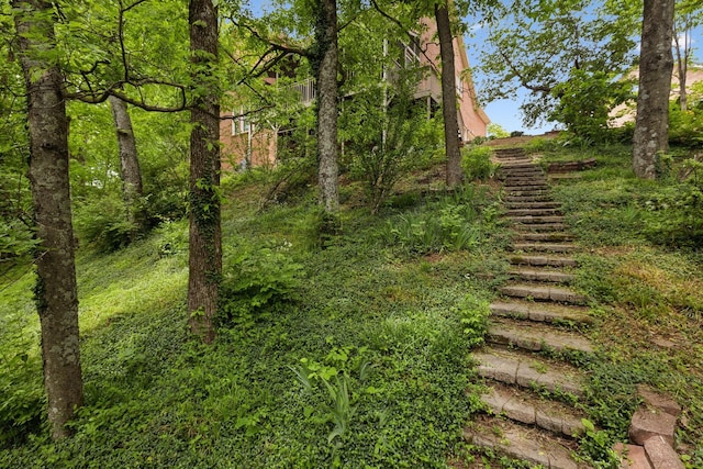 6781 Autumnwood Dr, Nashville, TN 37221 - view of yard with stairway