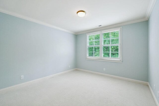 5008 Bentgrass Ct, Franklin, TN 37069 - photo 33
