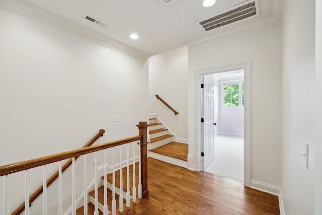 5008 Bentgrass Ct, Franklin, TN 37069 - photo 28