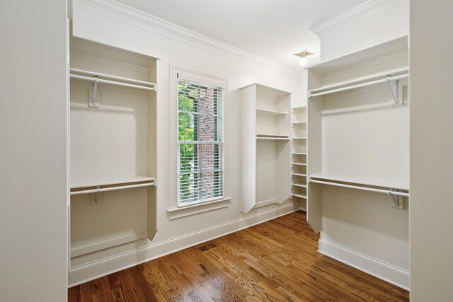 5008 Bentgrass Ct, Franklin, TN 37069 - photo 26