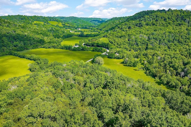3975 Dry Creek Rd, Dowelltown, TN 37059 - aerial overview of property's location featuring a heavily wooded area and mountains