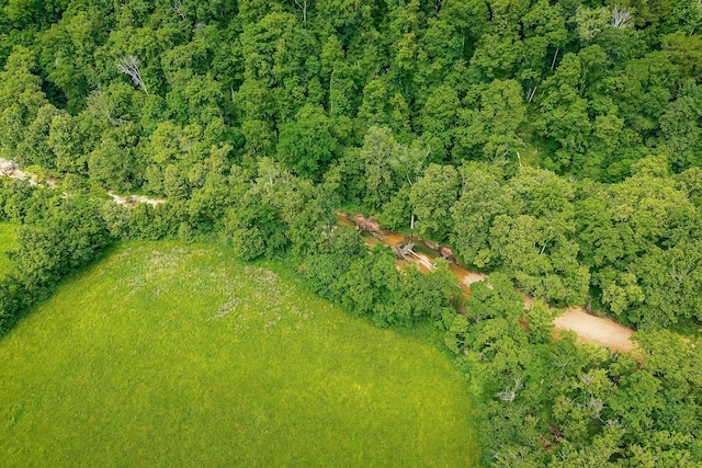 3975 Dry Creek Rd, Dowelltown, TN 37059 - aerial overview of property's location