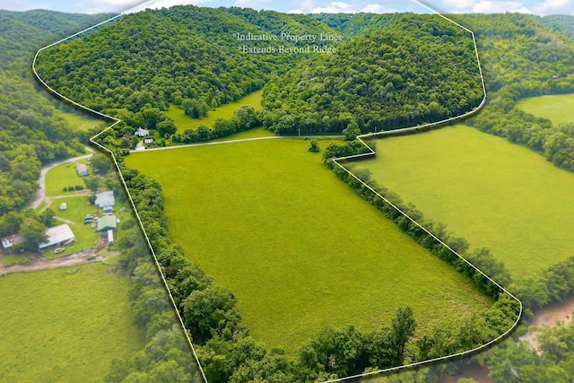 3975 Dry Creek Rd, Dowelltown, TN 37059 - aerial view of property and surrounding area with property parcel outlined and a forest