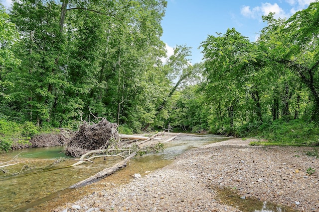 3975 Dry Creek Rd, Dowelltown, TN 37059 - view of yard with a forest view