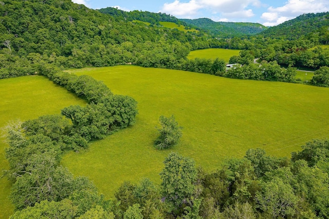 3975 Dry Creek Rd, Dowelltown, TN 37059 - drone / aerial view of a heavily wooded area and a mountainous background