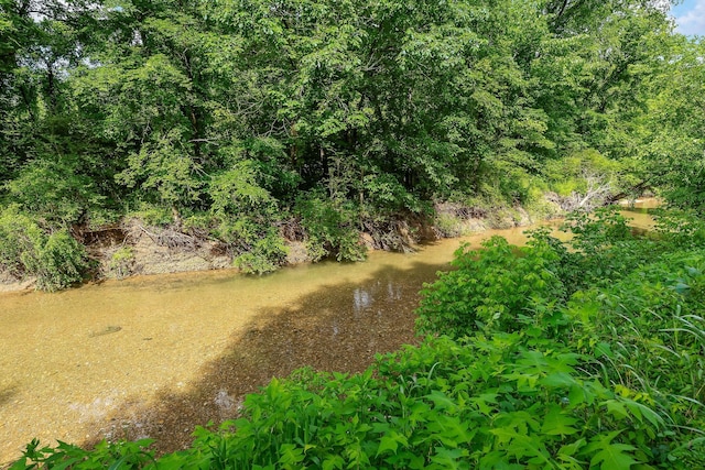 3975 Dry Creek Rd, Dowelltown, TN 37059 - view of yard
